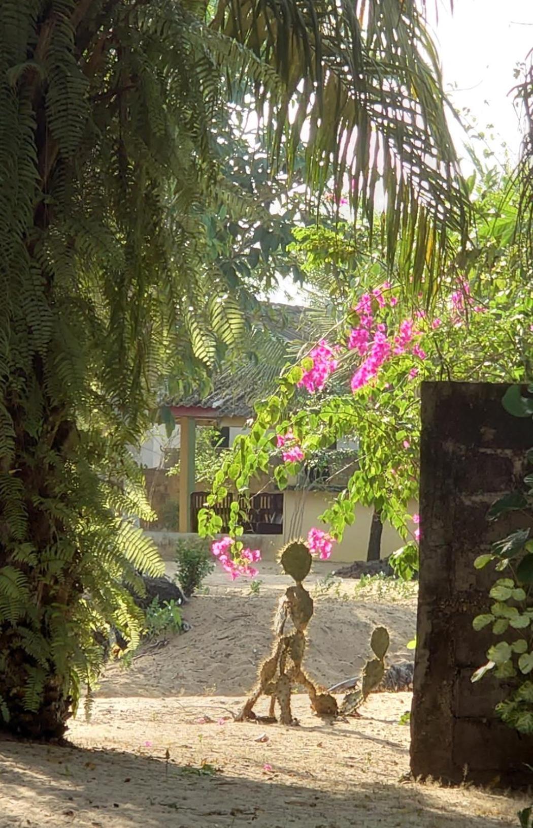 Rundbungalow Auf Lionsrest Grand-Bassam Εξωτερικό φωτογραφία